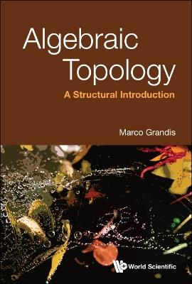 Algebraic Topology: A Structural Introduction - Marco Grandis - cover