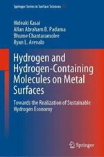 Hydrogen and Hydrogen-Containing Molecules on Metal Surfaces: Towards the Realization of Sustainable Hydrogen Economy