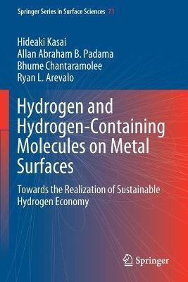 Hydrogen and Hydrogen-Containing Molecules on Metal Surfaces: Towards the Realization of Sustainable Hydrogen Economy - Hideaki Kasai,Allan Abraham B. Padama,Bhume Chantaramolee - cover