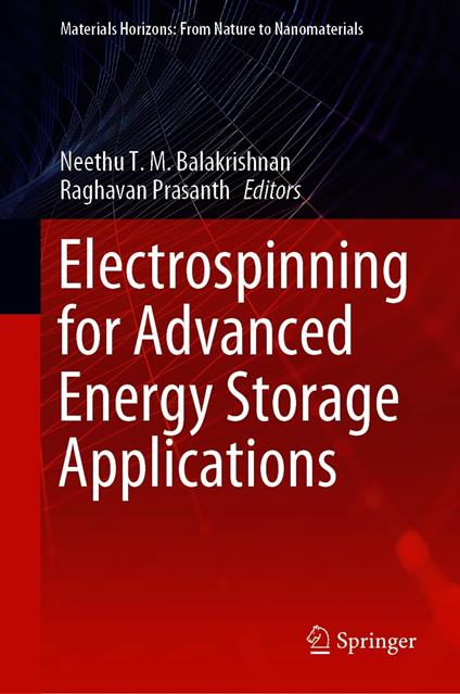 Electrospinning for Advanced Energy Storage Applications