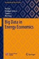 Big Data in Energy Economics - Hui Liu,Nikolaos Nikitas,Yanfei Li - cover