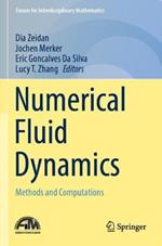 Numerical Fluid Dynamics: Methods and Computations
