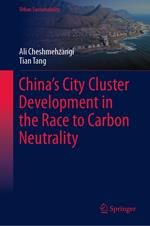 China’s City Cluster Development in the Race to Carbon Neutrality