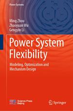 Power System Flexibility