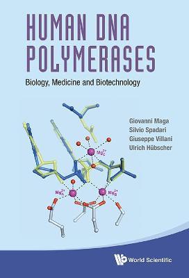 Human Dna Polymerases: Biology, Medicine And Biotechnology - Giovanni Maga,Silvio Spadari,Giuseppe Villani - cover