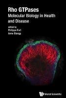 Rho Gtpases: Molecular Biology In Health And Disease - cover