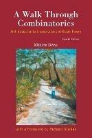 Walk Through Combinatorics, A: An Introduction To Enumeration And Graph Theory (Fourth Edition) - Miklos Bona - cover