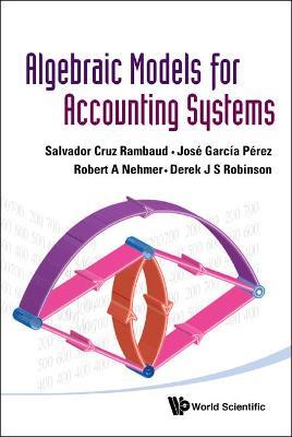 Algebraic Models For Accounting Systems - Robert A Nehmer,Jose Garcia Perez,Derek J S Robinson - cover