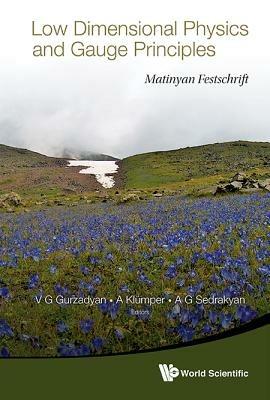 Low Dimensional Physics And Gauge Principles: Matinyan's Festschrift - cover
