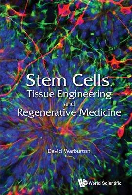 Stem Cells, Tissue Engineering And Regenerative Medicine - cover