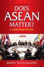 Does ASEAN Matter?: A View from Within