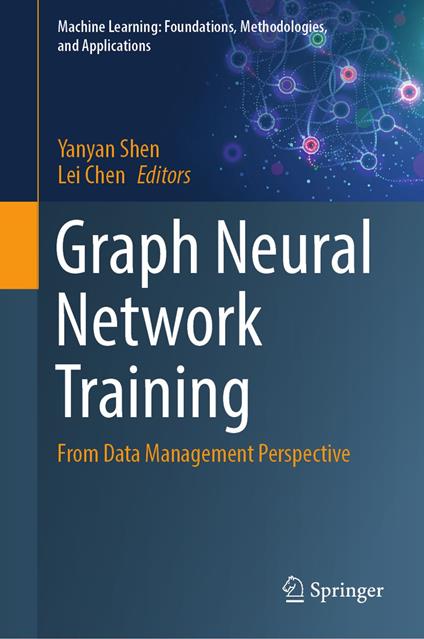 Graph Neural Network Training