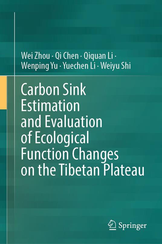 Carbon Sink Estimation and Evaluation of Ecological Function Changes on the Tibetan Plateau