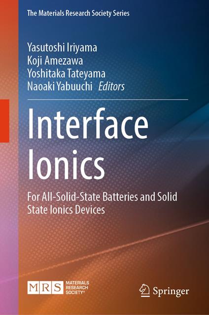 Interface Ionics