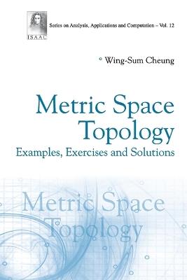 Metric Space Topology: Examples, Exercises And Solutions - Wing-sum Cheung - cover