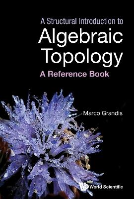 A Structural Introduction To Algebraic Topology: A Reference Book - Marco Grandis - cover