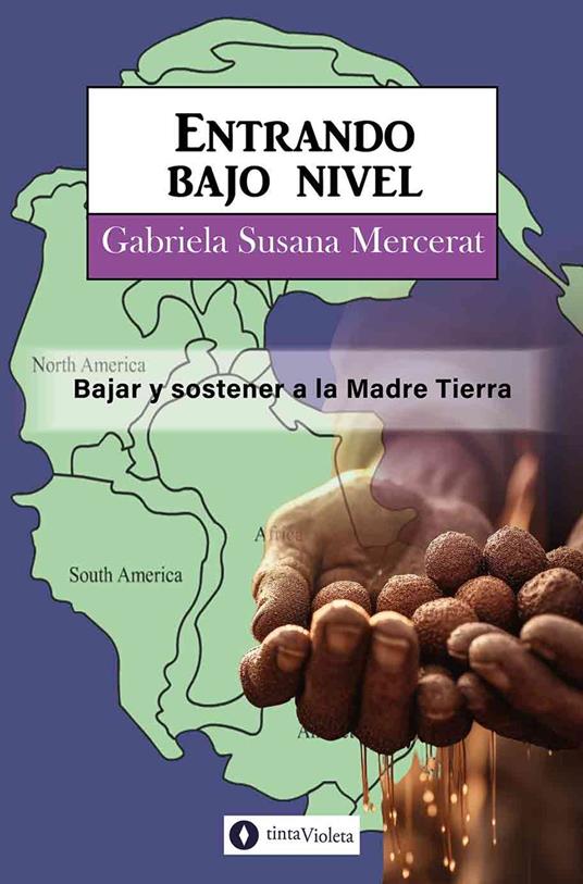 Entrando bajo nivel - Andrea Armesto,Juan Carlos Vejo,Gabriela Susana Mercerat - ebook