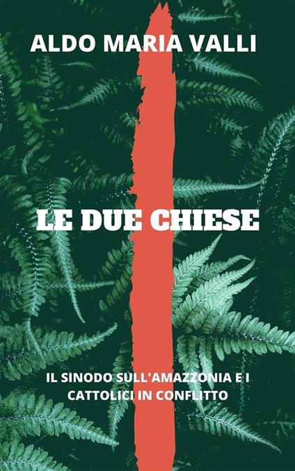 Le due Chiese - Aldo Maria Valli - ebook