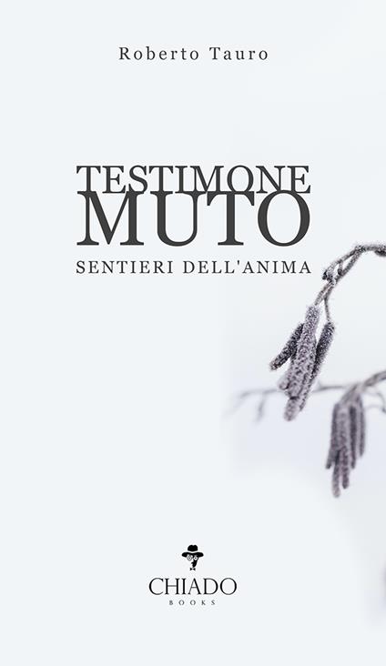 Testimone muto. Sentieri dell'anima - Roberto Tauro - copertina