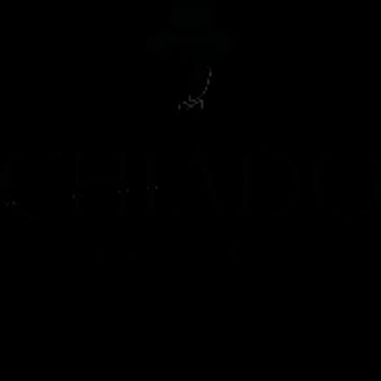 Testimone muto. Sentieri dell’anima. - Roberto Tauro - ebook