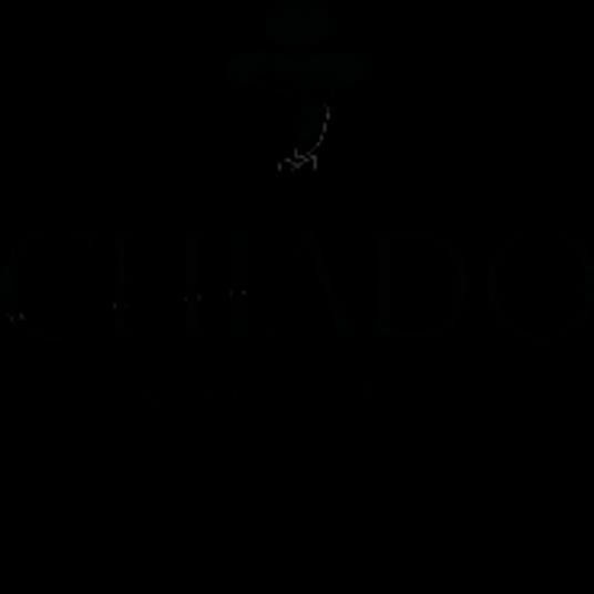 Testimone muto. Sentieri dell’anima. - Roberto Tauro - ebook