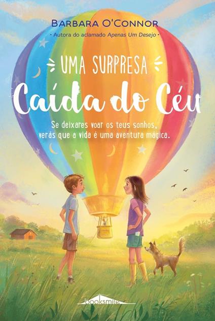 Uma Surpresa Caída do Céu - Barbara O'Connor - ebook