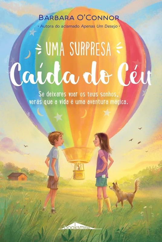 Uma Surpresa Caída do Céu - Barbara O'Connor - ebook