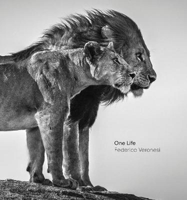 One Life - Federico Veronesi - cover