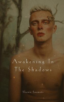 Awakening In The Shadows - Shawn Soomets - cover