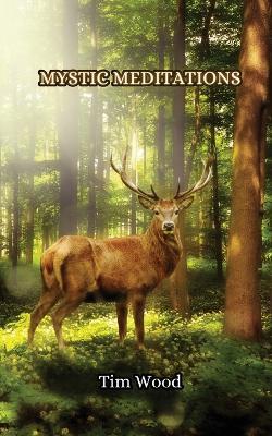 Mystic Meditations - Tim Wood - cover