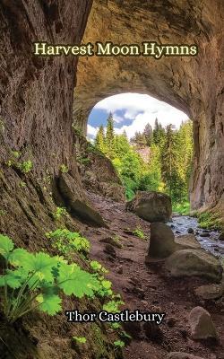 Blossoms and Snowflakes - Clement Portlander - cover