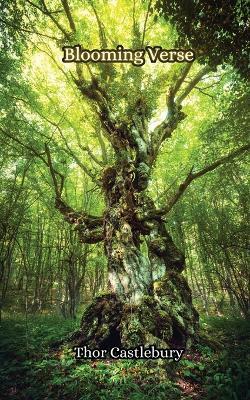 Winter's Veil - Clement Portlander - cover