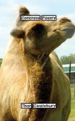 Concrete Poetry - Thor Castlebury - cover