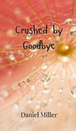 Crushed by Goodbye