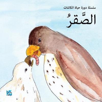 Falcon - HBKU Press - cover