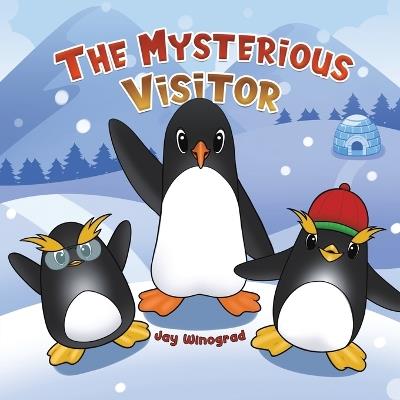 The Mysterious Visitor - Jay Winograd - cover
