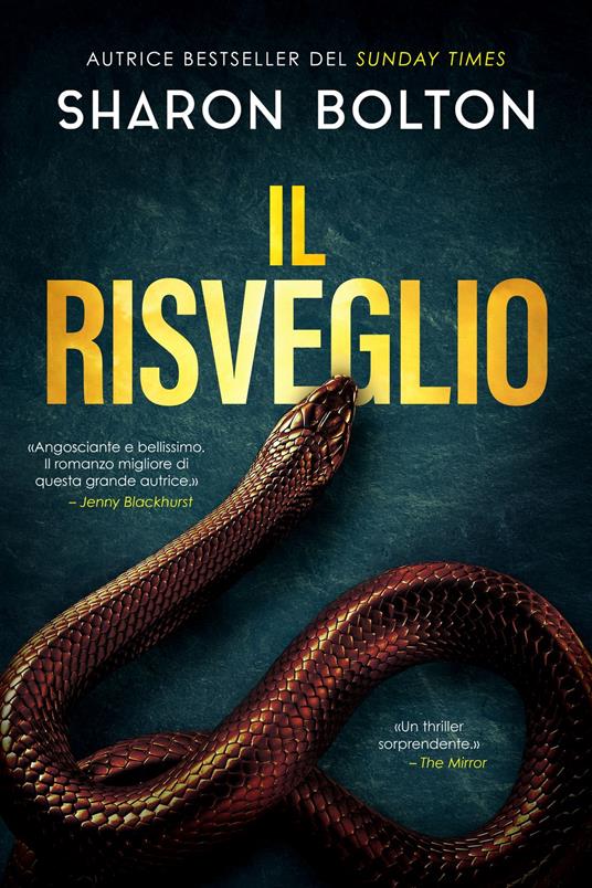 Il risveglio - Sharon Bolton - ebook