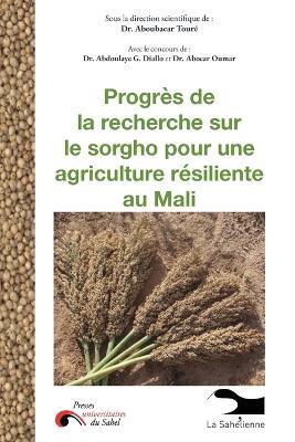 Progrès de la recherche sur le sorgho pour une agriculture résiliente au Mali: Actes des rencontres de Bamako 2015 à 2018: RANTS / NOTES / POEMS 2001-2011 - Aboubacar Touré - cover