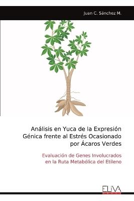 Análisis en Yuca de la Expresión Génica frente al Estrés Ocasionado por Ácaros Verdes - Juan C Sánchez M - cover