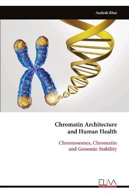 Chromatin Architecture and Human Health: Chromosomes, Chromatin and Genomic Stability - Audesh Bhat - cover