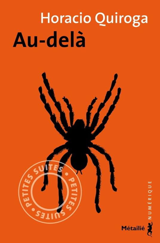 Au-delà (nouvelle)