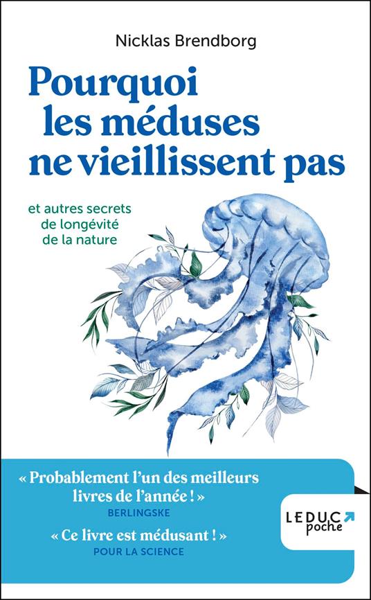 Pourquoi les méduses ne vieillissent pas... et autres secrets de longévité de la nature