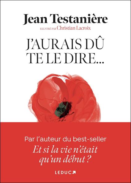J'aurais dû te le dire
