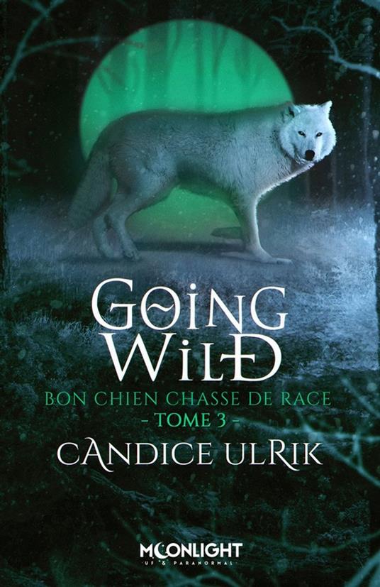 Bon chien chasse de race