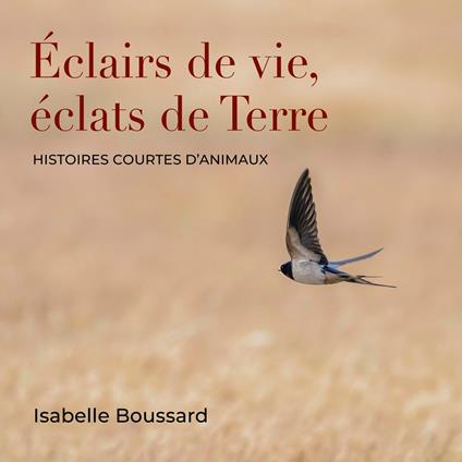 Éclairs de vie, éclats de Terre