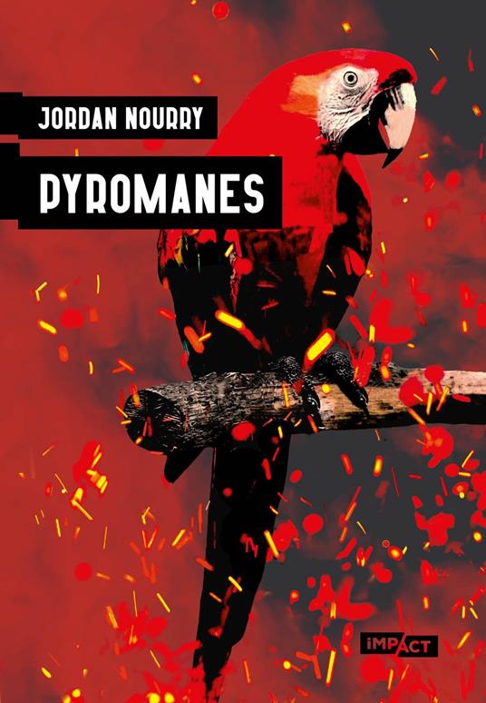 Pyromanes - Numerique