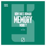 How Does Human Memory Work ?