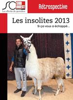 Les insolites de l'année 2013