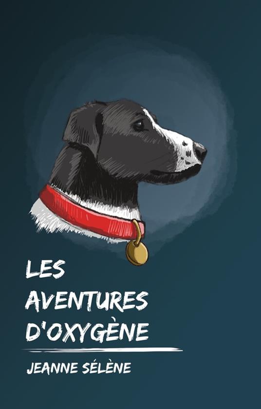 Les Aventures d'Oxygène - Jeanne Sélène,Anthony Grolleau - ebook