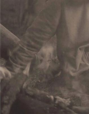 La Ronde des hirondelles - cover